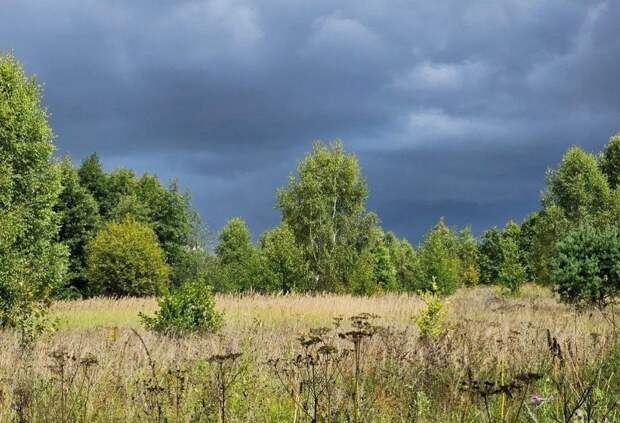 Широкие луга: охраняемое окно в природу