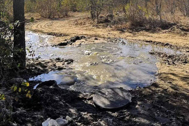 Росприроднадзор оценил ущерб от загрязнения почвы коммунальщиками в Волгограде