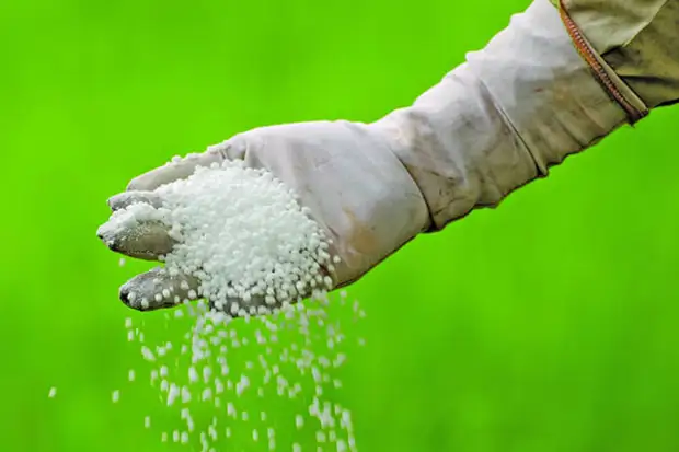 внесение удобрений внесение удобрений