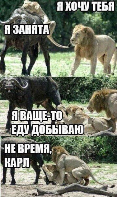 Картинки с надписями мем, прикол, юмор