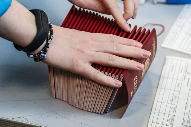 МВД: с 20 января дети могут выезжать из России только по загранпаспорту