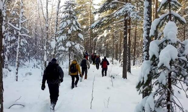 Новый поворот в деле пропавшей семьи Усольцевых