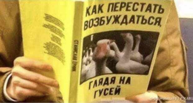 Баянисто-небаянистый юмор