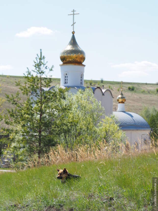 Удивительное Белогорье и Дивногорье 