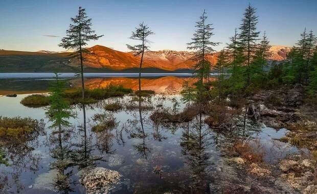 Красота природы о. Джека Лондона/ © Алексей Ворон, rasfokus.ru