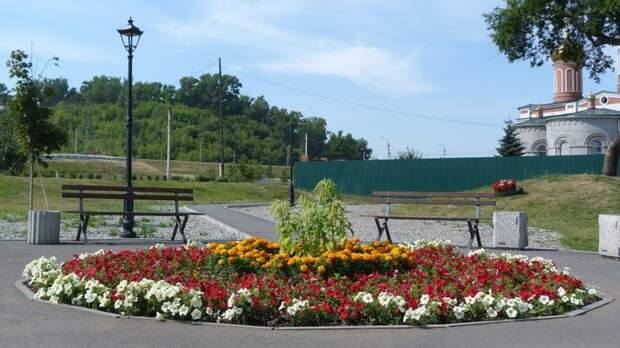 Стало известно, какими цветами оформят городские клумбы Барнаула летом 2026 года