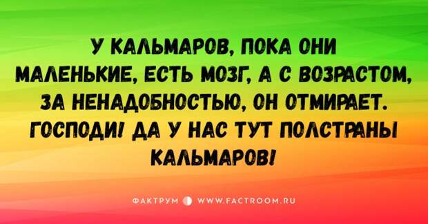 15 остроумных коротких шуток, вселяющих бодрость и позитив!