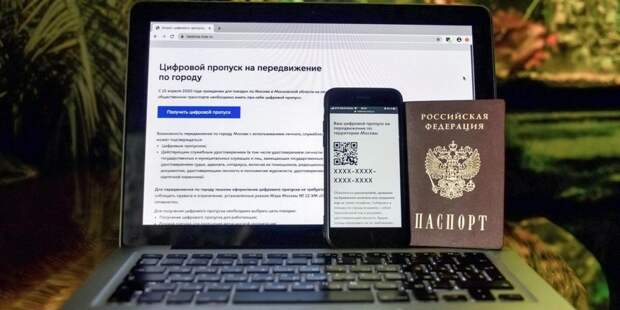Москвичи подтвердили данные лишь 1/3 отмененных рабочих пропусков. Фото: mos.ru