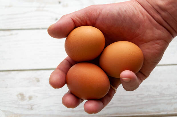 Врачи развеяли популярный миф о влиянии яиц на здоровье