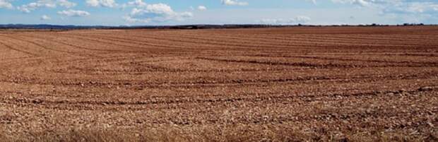 Слухи о продаже казахстанской земли на китайских сайтах опровергли в минсельхозе