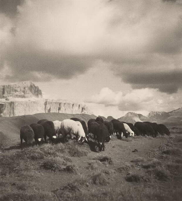 Талантливый фотограф начала XX века Rudolf Koppitz