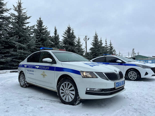 В Смоленске стартовали "сплошные" проверки