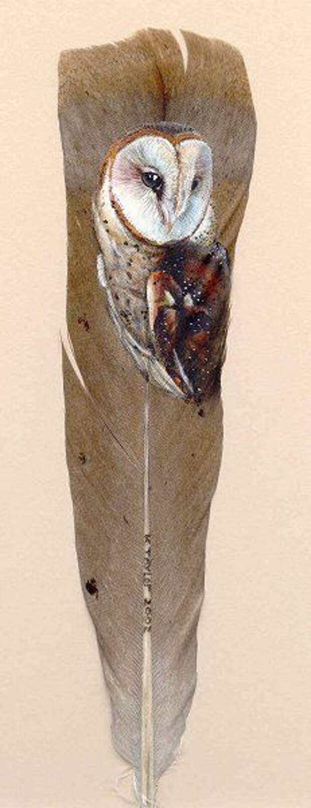 Handpainted feather featuring a barn owl by Karin Taylor Art! Very Lovely!
