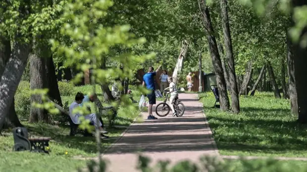 Парки Подмосковья приняли 15 млн посетителей с начала года