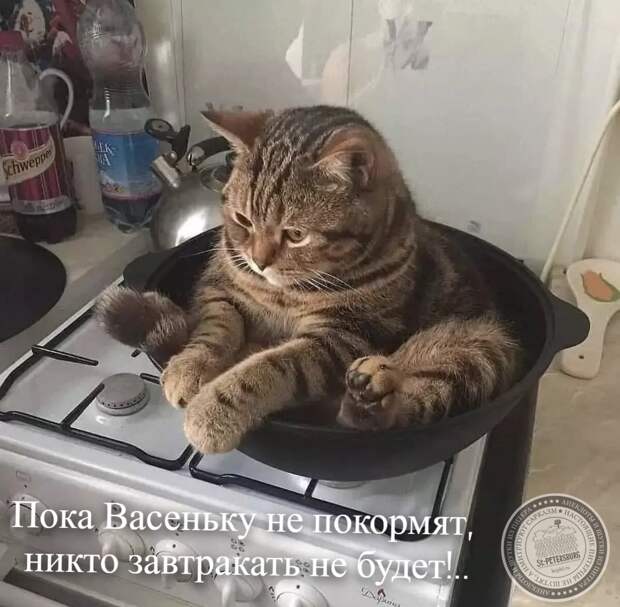 Завтрак