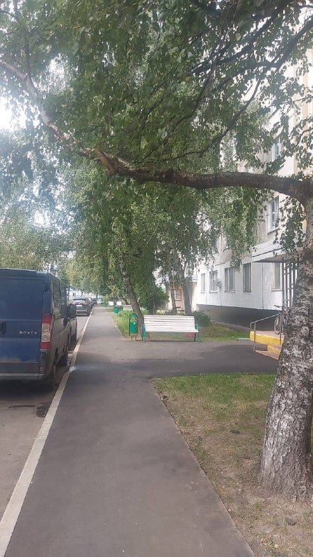 Во дворе дома на Псковской спилили аварийную ветку по просьбам жителей