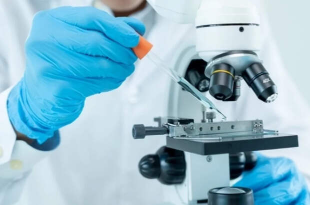 Минобрнауки открыло 30 молодёжных лабораторий в новых регионах