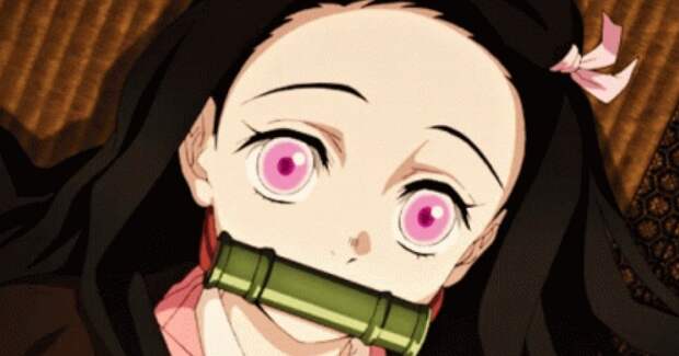 Кляп Нэдзуко из «Клинка, рассекающего демонов» не соответствует строению реального бамбука