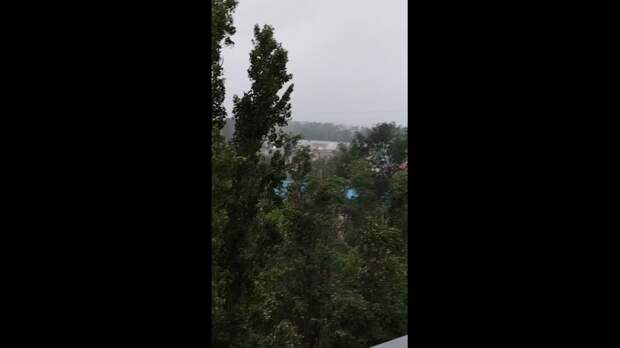 Video: Клип @donetskdnr_vk