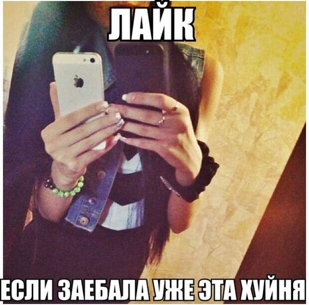 i8Qtb5MgLY4