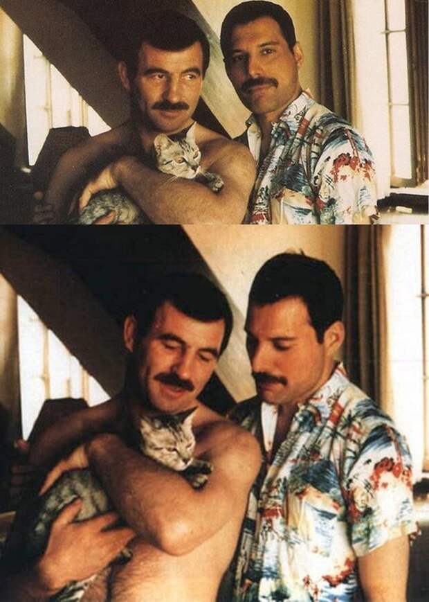 3. Фредди Меркьюри и его партнер Джим Хаттон со своим котенком, конец 1980-х 3. Фредди Меркьюри и его партнер Джим Хаттон со своим котенком, конец 1980-х