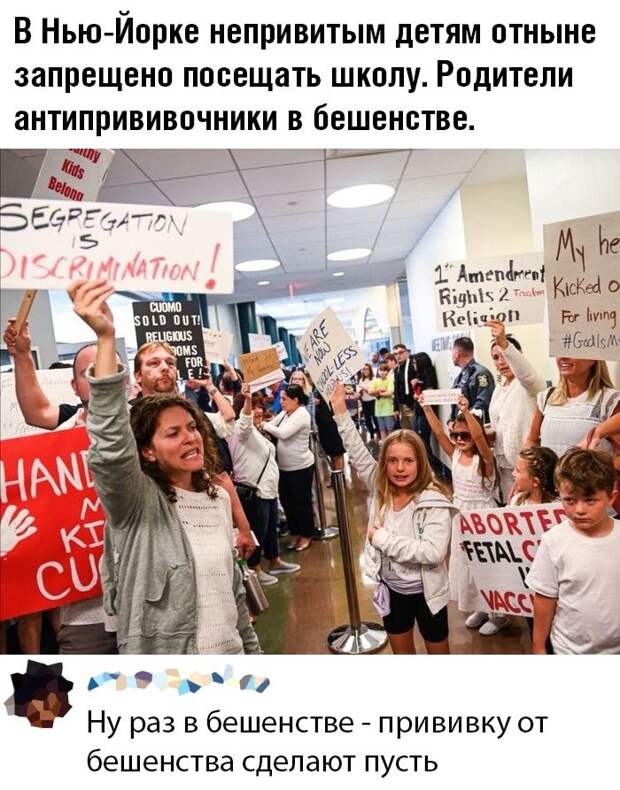 kartinok-intepesnyh-prikolnyh-kartinki-smeshnye-kartinki-fotoprikoly