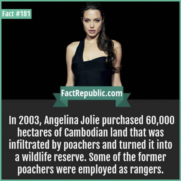 Everyday Life Facts