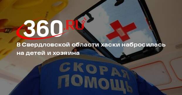В Свердловской области хаски набросилась на детей и хозяина