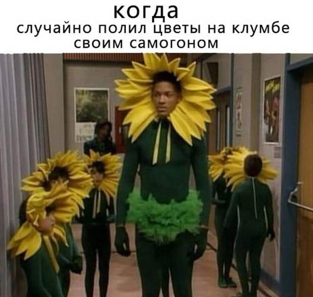 Мемы для пенсионеров