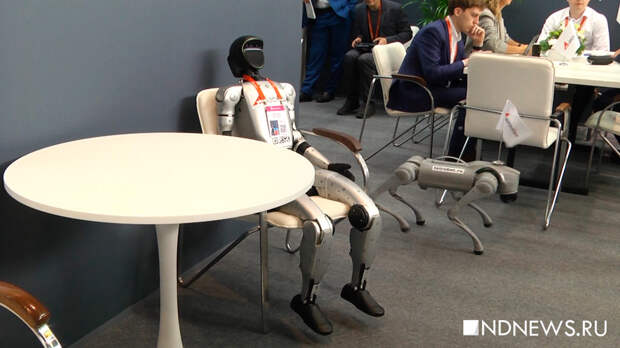 Голосовой помощник научился материться после общения с клиентами компании ЖКХ