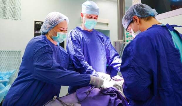 Собянин: Возможности московской службы трансплантологии расширяются