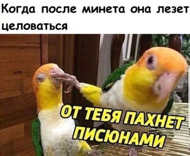 Картинки с надписями