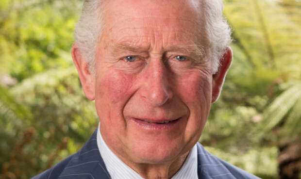 Mirror: король Британии Карл III хочет возобновить общение с внуками из-за рака