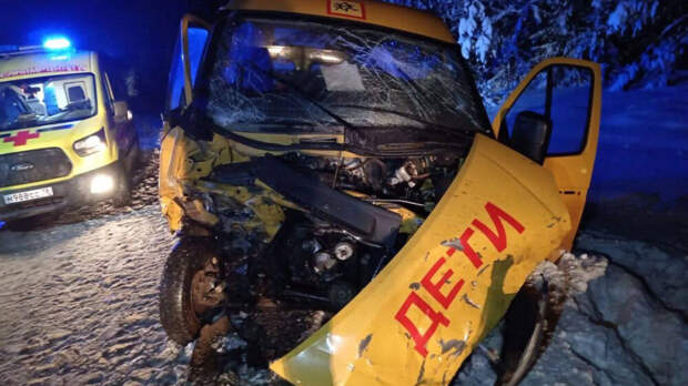 МЧС Удмуртии: 14 человек пострадали в ДТП со школьным микроавтобусом