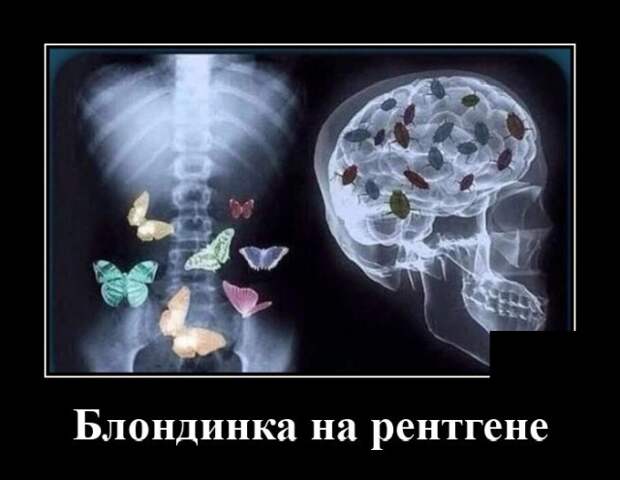 Демотиваторы 13 августа 2020