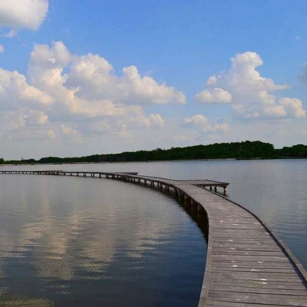 Последние новости Новороссии: Боевые Сводки ООС от Ополчения ДНР и ЛНР — 31 июля 2019