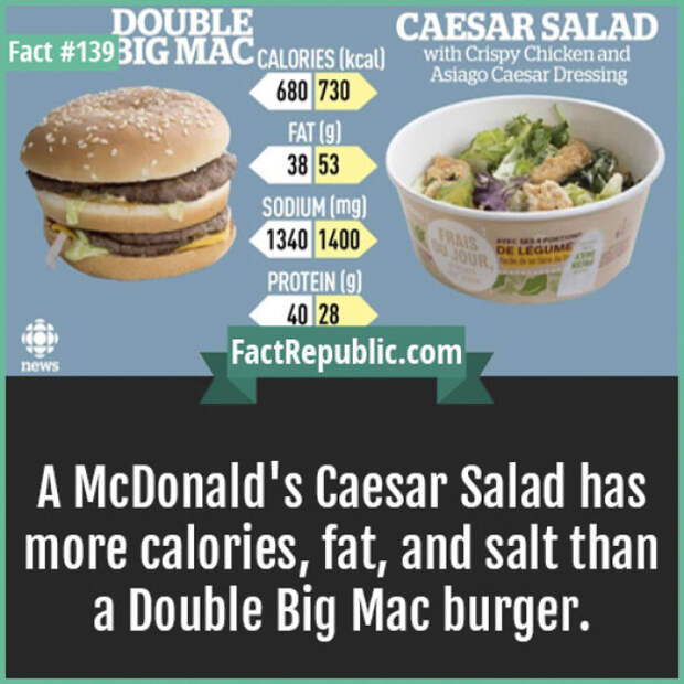 Everyday Life Facts