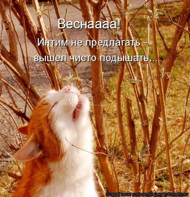18 (675x700, 628Kb)