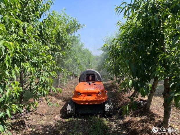 Китайский сельскохозяйственный беспилотный автомобиль вышел на широкий рынок