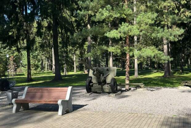 «Стыд 2025-ого». В Новомосковске мужчина помочился на памятник