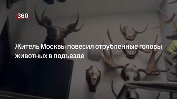 Житель Москвы повесил отрубленные головы животных в подъезде