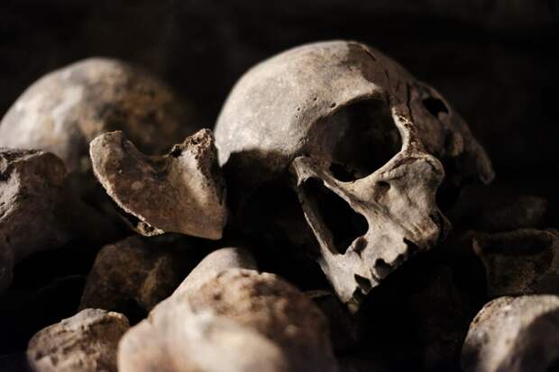 _эпидемия_археология-1024x683 Чума из Европы: ученые обнаружили самую древнюю жертву смертоносной инфекции