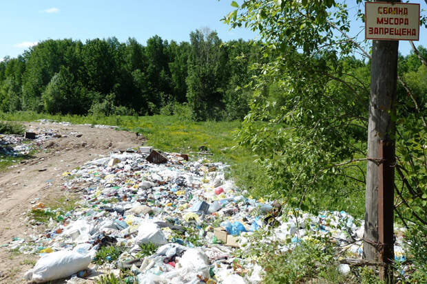 Вдоль российских дорог Фото: Николай ВАРСЕГОВ