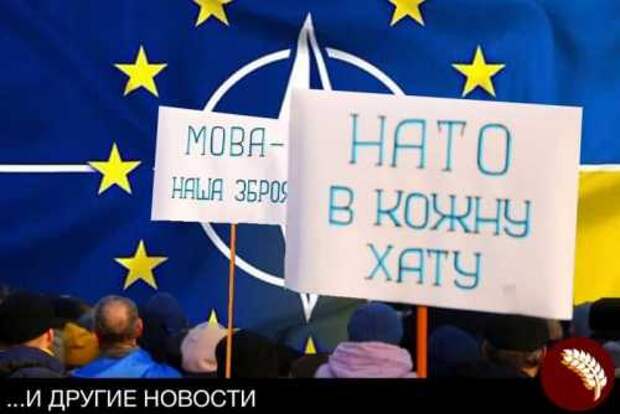 Украина уверена – она заслужила своё место в НАТО Украина уверена – она заслужила своё место в НАТО