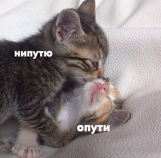 Давайте улыбаться вместе