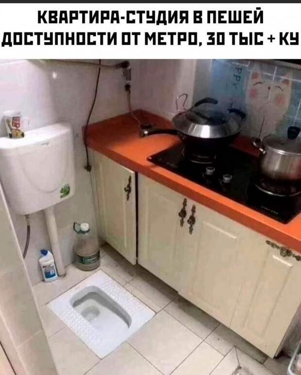 картинки прикольные смешные (13)