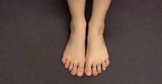 Интересные факты, которые удивят и шокируют вас