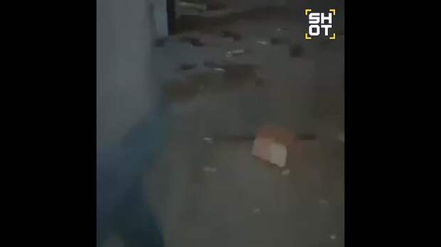 Video: Клип @donetskdnr_vk