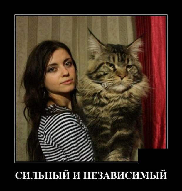 Демотиваторы (20 фото)