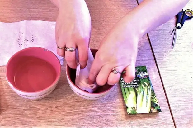 готовим семена к посеву готовим семена к посеву